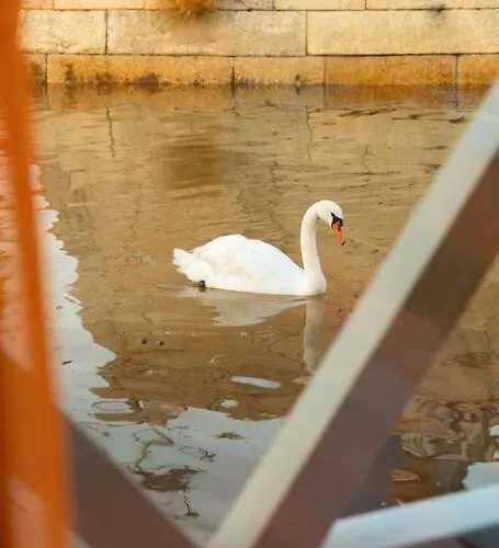 Tekne Sleepboat- Modern Houseboat In Porto *