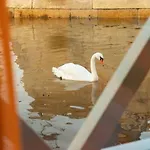 بوتيل Sleepboat - Cozy Modern Houseboat In *
